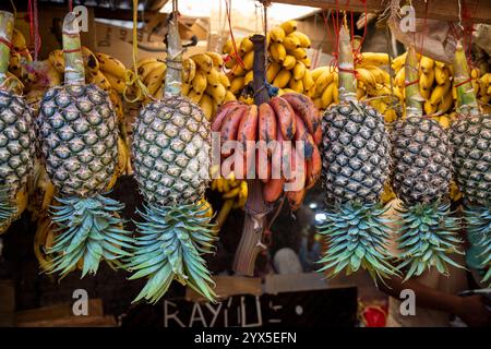 Mazzo fresco di banane rosse e ananas con parte di gambo appeso al mercato Darajani, Bazaar a Stone Town, Zanzibar, Tanzania. Foto Stock