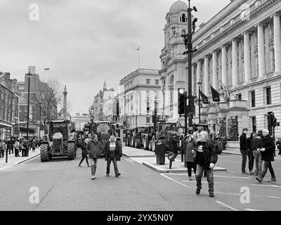 Londra, 11-12-24. Gli agricoltori britannici bloccano Whitehall a Westminster con i trattori in una protesta contro il governo britannico contro un aumento delle tasse Foto Stock