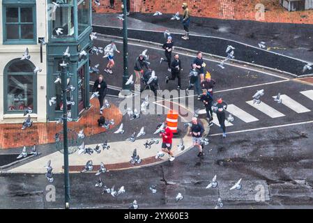 28 novembre 2024 Portland, Maine, USA Pigeons sorvolando Portland, Maine Road Race in Congress Square a Portland, Maine. ( Rick Friedman ) Foto Stock