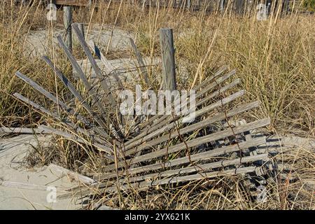 Recinzione di sabbia di legno caduto in erba di spiaggia appassita Foto Stock