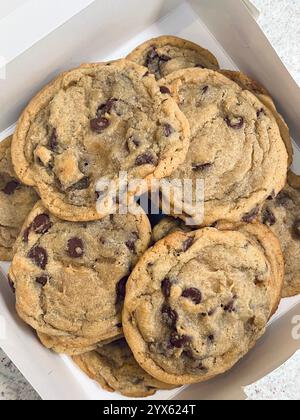 Biscotti al cioccolato appena sfornati in una scatola Foto Stock