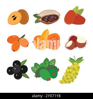 Variopinto assortimento di frutta unica Illustrazione Vettoriale