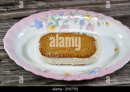 Panino con gelato al biscotto, un dessert congelato composto da gelato tra due biscotti, gli ingredienti sono diversi in tutto il mondo, il comune composto Foto Stock