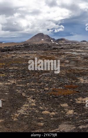 Paesaggio vulcanico di Leirhnjukur nell'area geotermica di Myvatn in Islanda, con crateri e campi di lava nera ricoperti di muschio. Foto Stock