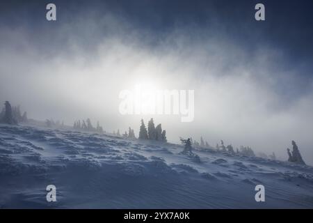 Clima freddo e ventoso sulle montagne innevate. Paesaggio invernale con alberi innevati e luce solare che splende attraverso le nuvole Foto Stock