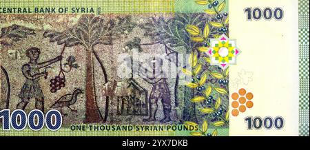 Grande frammento del rovescio di una banconota da mille libbre siriane emessa dalla banca centrale della Siria 2013, presenta il mosaico della vendemmia i Foto Stock