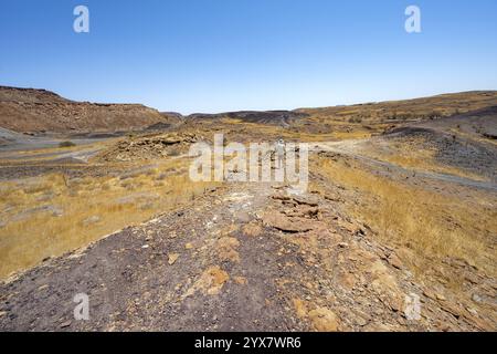 Turista in un paesaggio asciutto con erba gialla e colline vulcaniche nere, Burnt Mountain, Damaraland, Kunene, Namibia, Africa Foto Stock