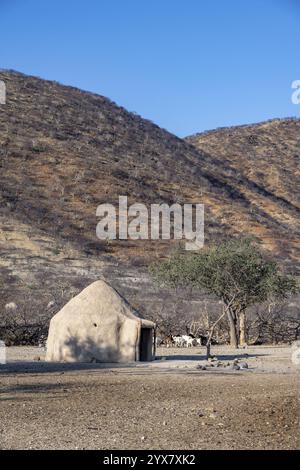 Capanna di fango in un tradizionale villaggio himba, Kaokoveld, Kunene, Namibia, Africa Foto Stock