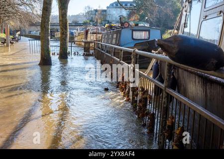 Bath, Somerset - 27 novembre 2024 - inondazioni causate dalla tempesta Bert nei pressi del Bath Rugby Club e del Bath Sports and Leisure Centre. Acqua alta dal fiume A. Foto Stock