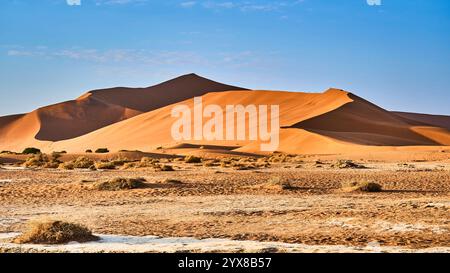 Big Daddy Dune, Sossusvlei, Deadvlei, Sesriem National Park, Namibia, Africa. Foto Stock