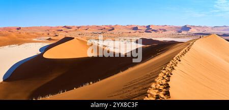 Un'immagine panoramica ad alta risoluzione di dune e passi sul crinale di Big Daddy Dune, Sesriem National Park, Namibia, Africa. Foto Stock