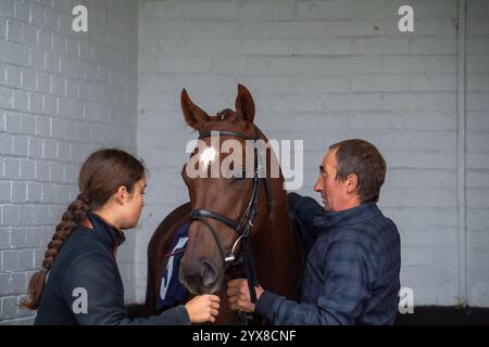 Windsor, Regno Unito. 14 ottobre 2024. SEDGEMOOR nel Pre Parade Ring presso l'ippodromo Royal Windsor di Windsor, Berkshire, prima di scaricare le gare per disabili dell'app At the Races (Classe 5). Crediti: Maureen McLean/Alamy Foto Stock