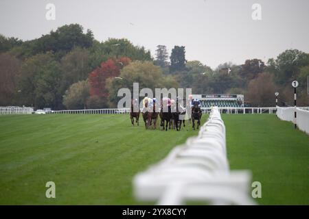 Windsor, Regno Unito. 14 ottobre 2024. I piloti che partecipano alle gare di handicap per l'app Download at the Races (classe 5) alla finale di stagione presso l'ippodromo Royal Windsor di Windsor, Berkshire. Crediti: Maureen McLean/Alamy Foto Stock