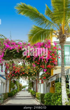 PUERTO PORT MOGAN Palm Tree Gran Canaria Flowers Mogan Port zona pedonale tranquilla con archi di Bougainvillea a Puerto de Mogan Gran Canaria Isole Canarie Spagna Foto Stock