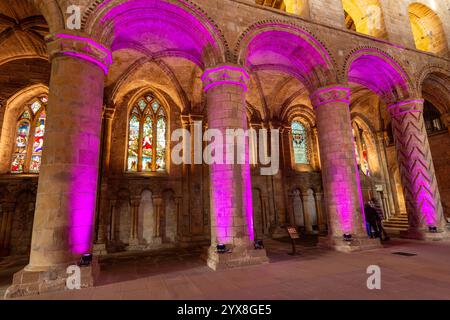 Pilastri e archi nella nave dell'Abbazia di Dunfermline illuminati da luci colorate, Fife, Scozia Foto Stock