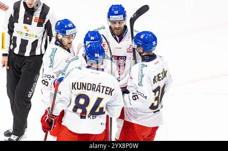 Friburgo, Svizzera, 14 dicembre 2024: Saluti dalla Repubblica Ceca al dodicesimo minuto della partita. # 91 Filip Zadina segna lo 0:1. #87 Michal Kovarcik, #36 Jakub Krejcik, #13 Jiri Smejkal e #84 Tomas Kundratek si congratulano. (Foto di Andreas Haas/dieBildmanufaktur) credito: DieBildmanufaktur/Alamy Live News Foto Stock