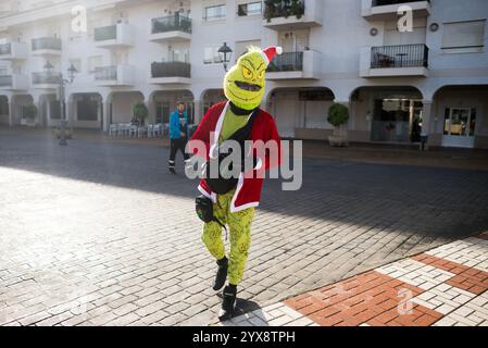 Malaga, Spagna. 14 dicembre 2024. Un uomo vestito da personaggio "Grinch" viene visto in posa per una foto prima di prendere parte a X Toy Run Torremolinos. Centinaia di motociclisti e motociclisti si incontrano ogni anno nel centro di Torremolinos per partecipare a una gara di beneficenza vestita con costumi di Babbo Natale e collezionando giocattoli per bambini. Credito: SOPA Images Limited/Alamy Live News Foto Stock