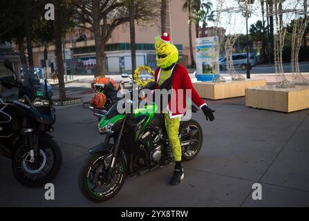 Malaga, Spagna. 14 dicembre 2024. Un uomo vestito da "Grinch" viene visto sulla sua moto prima di prendere parte a X Toy Run Torremolinos. Centinaia di motociclisti e motociclisti si incontrano ogni anno nel centro di Torremolinos per partecipare a una gara di beneficenza vestita con costumi di Babbo Natale e collezionando giocattoli per bambini. Credito: SOPA Images Limited/Alamy Live News Foto Stock