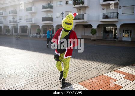 Malaga, Spagna. 14 dicembre 2024. Un uomo vestito da personaggio "Grinch" viene visto in posa per una foto prima di prendere parte a X Toy Run Torremolinos. Centinaia di motociclisti e motociclisti si incontrano ogni anno nel centro di Torremolinos per partecipare a una gara di beneficenza vestita con costumi di Babbo Natale e collezionando giocattoli per bambini. (Foto di Jesus Merida/SOPA Images/Sipa USA) credito: SIPA USA/Alamy Live News Foto Stock