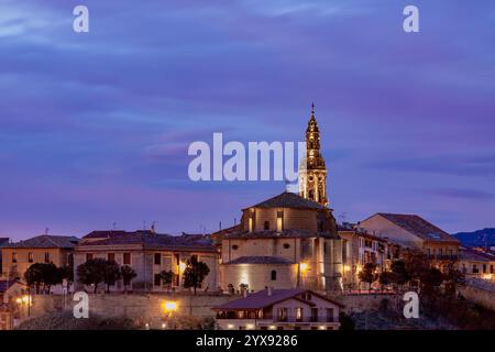 Vista panoramica dei vigneti autunnali nella regione di la Rioja con foglie colorate e catena montuosa come sfondo Foto Stock