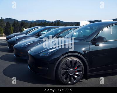 Primo piano di quattro auto elettriche Tesla in fila. Tesla Model Y nera seguita da veicoli Tesla 3, vista laterale, parcheggiati all'aperto con una batteria di ricarica Foto Stock