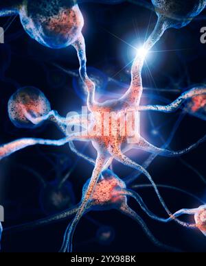 Rete di neuroni e di connessioni neurali, cellule cerebrali, illustrazione scientifica Foto Stock