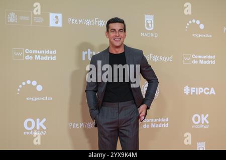Mario Casas partecipa al Red carpet per i Jose Maria Forque Awards 2024 al Palacio de Congresos de Madrid il 14 dicembre 2024 a Madrid in Spagna Foto Stock