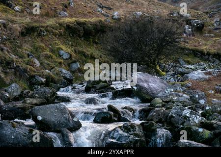 Un ruscello che scorre velocemente scorre su rocce lisce e scure. Un albero arido e senza foglie si trova vicino al bordo dell'acqua. Le colline verdi ondulate formano lo sfondo. Foto Stock
