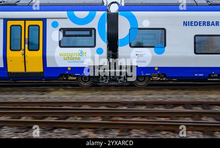 Basdorf, Germania. 15 dicembre 2024. Un treno alimentato a idrogeno gestito dalla Niederbarnimer Eisenbahn (NEB) è arrivato alla stazione di Basdorf sulla linea Heidekrautbahn. Con il cambio di orario del 15 dicembre, i treni alimentati a idrogeno saranno in servizio per la prima volta nel Brandeburgo. Correranno sulla cosiddetta Heidekrautbahn tra Berlino e Groß Schönebeck e Schmachtenhagen. Molte linee della Heidekrautbahn e della rete del Brandeburgo orientale non sono ancora elettrificate. Crediti: Patrick Pleul/dpa/Alamy Live News Foto Stock