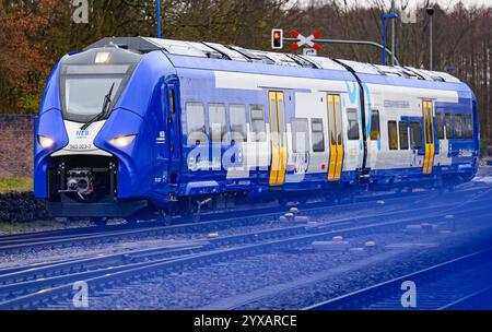 Basdorf, Germania. 15 dicembre 2024. Un treno alimentato a idrogeno gestito dalla Niederbarnimer Eisenbahn (NEB) è arrivato alla stazione di Basdorf sulla linea Heidekrautbahn. Con il cambio di orario del 15 dicembre, i treni alimentati a idrogeno saranno in servizio per la prima volta nel Brandeburgo. Correranno sulla cosiddetta Heidekrautbahn tra Berlino e Groß Schönebeck e Schmachtenhagen. Molte linee della Heidekrautbahn e della rete del Brandeburgo orientale non sono ancora elettrificate. Crediti: Patrick Pleul/dpa/Alamy Live News Foto Stock