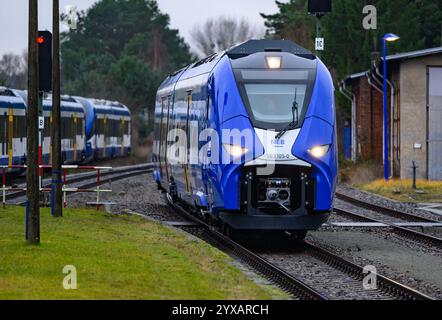 Basdorf, Germania. 15 dicembre 2024. Un treno alimentato a idrogeno gestito dalla Niederbarnimer Eisenbahn (NEB) è arrivato alla stazione di Basdorf sulla linea Heidekrautbahn. Con il cambio di orario del 15 dicembre, i treni alimentati a idrogeno saranno in servizio per la prima volta nel Brandeburgo. Correranno sulla cosiddetta Heidekrautbahn tra Berlino e Groß Schönebeck e Schmachtenhagen. Molte linee della Heidekrautbahn e della rete del Brandeburgo orientale non sono ancora elettrificate. Crediti: Patrick Pleul/dpa/Alamy Live News Foto Stock
