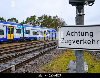Basdorf, Germania. 15 dicembre 2024. Un treno alimentato a idrogeno gestito dalla Niederbarnimer Eisenbahn (NEB) è arrivato alla stazione di Basdorf sulla linea Heidekrautbahn. Con il cambio di orario del 15 dicembre, i treni alimentati a idrogeno saranno in servizio per la prima volta nel Brandeburgo. Correranno sulla cosiddetta Heidekrautbahn tra Berlino e Groß Schönebeck e Schmachtenhagen. Molte linee della Heidekrautbahn e della rete del Brandeburgo orientale non sono ancora elettrificate. Crediti: Patrick Pleul/dpa/Alamy Live News Foto Stock