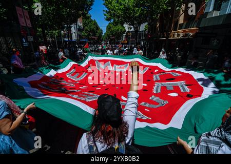 Melbourne, Australia. 15 dicembre 2024. Un manifestante alza il pugno in solidarietà con il popolo palestinese durante la manifestazione. I manifestanti sventolano bandiere palestinesi e tengono striscioni che chiedono la fine del genocidio e dell’aggressione sionista, cantando solidarietà per la liberazione e la giustizia palestinesi. (Foto di Ye Myo Khant/SOPA Images/Sipa USA) credito: SIPA USA/Alamy Live News Foto Stock