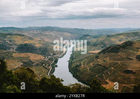 Il fiume Douro si snoda attraverso una pittoresca valle, circondato da vigneti terrazzati e vegetazione lussureggiante vicino ad alijo, portogallo, sotto un cielo nuvoloso, cr Foto Stock