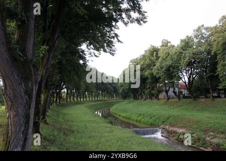 Fiume Petrinjcica nel centro della città di Petrinja, Croazia Foto Stock