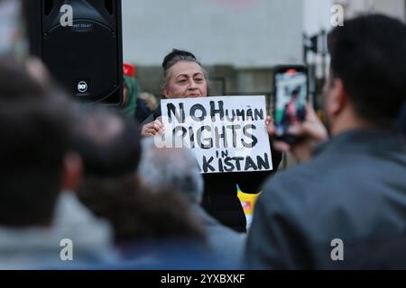 Londra, Regno Unito. 15 dicembre 2024. Attivisti associati al Pakistan Tehreek-e-Insaf (PTI), il partito politico dell'ex primo ministro pakistano Imran Khan, protesta a Whitehall di fronte a Downing Street a Londra. I manifestanti condannano le violenze in corso in Pakistan e gli scontri tra i sostenitori dell'ex primo ministro Khan e le forze di sicurezza pakistane. Crediti: Waldemar Sikora / Alamy Live News Foto Stock