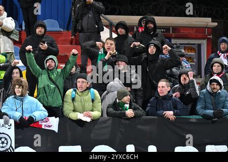 Kryvyi Rih, UCRAINA - 14 dicembre: I tifosi del karpaty fanno il tifo durante la partita di calcio della Premier League Ucraina tra FC Kryvbas Kryvyi Rih e FC Karpaty Lviv il 14 dicembre 2024 a Kryvyi Rih, Ucraina. Foto Stock