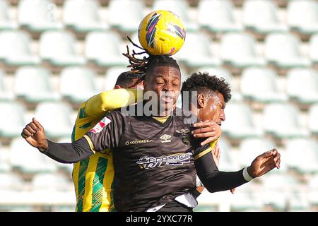 Tondela, PT, Portogallo. 15 dicembre 2024. Tondela (pt) 15/12/2024 - liga portugal meu super - cd tondela x portimonense Ã¢â‚¬' chico banza portimonese player durante la partita tra tondela x portimonese, valida per il 14° round della liga portugal 2 meu super, tenutasi allo stadio Joao Cardoso, a tondela, questa domenica pomeriggio,(15) (Credit Image: © Alexandre Gomes/TheNEWS2 via ZUMA Press wire) SOLO USO EDITORIALE! Non per USO commerciale! Foto Stock