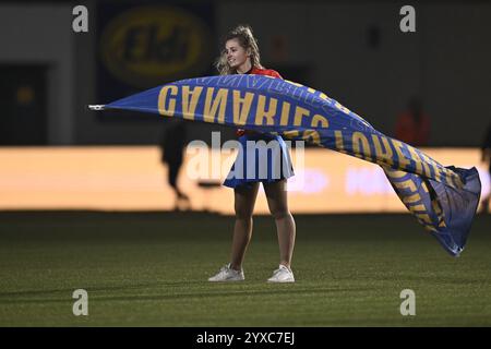 Sint Truiden, Belgio. 15 dicembre 2024. Immagine scattata durante una partita di calcio tra Sint-Truiden VV e RSC Anderlecht, domenica 15 dicembre 2024 a Sint-Truiden, il giorno 18 della stagione 2024-2025 della prima divisione del campionato belga "Jupiler Pro League". BELGA FOTO JOHAN EYCKENS credito: Belga News Agency/Alamy Live News Foto Stock