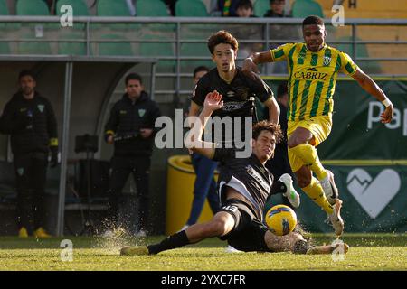 Tondela, PT, Portogallo. 15 dicembre 2024. Tondela (pt) 12/15/2024 - liga portugal meu super - cd tondela x portimonense Ã¢â‚¬' pedro maranhao tondela giocatore durante la partita tra tondela x portimonense, valida per il 14° round della liga portugal 2 meu super, tenutasi allo stadio Joao Cardoso, a tondela, questa domenica pomeriggio,(15) (Credit Image: © Alexandre Gomes/TheNEWS2 via ZUMA Press WS2) SOLO USO EDITORIALE! Non per USO commerciale! Foto Stock