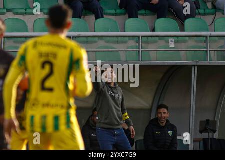 Tondela, PT, Portogallo. 15 dicembre 2024. Tondela (pt) 15/12/2024 - liga portugal meu super - cd tondela x portimonense Ã¢â‚¬' luis pinto allenatore di tondela durante la partita tra tondela x portimonense, valida per il 14° round della liga portugal 2 meu super, tenutasi allo stadio Joao Cardoso, a tondela, questa domenica pomeriggio,(15) (Credit Image: © Alexandre Gomes/TheNEWS2 via ZUMA Press WS2) SOLO USO EDITORIALE! Non per USO commerciale! Foto Stock