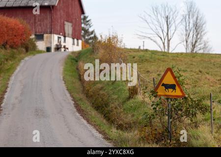 Cartello segnaletico per le mucche a bordo strada con fienile rosso sullo sfondo Foto Stock