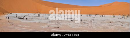 Un'immagine panoramica ad alta risoluzione delle dune che circondano il Deadvlei con gli iconici alberi morti secchi e pietrificati, il Parco Nazionale di Sesriem, Namibia, Africa Foto Stock