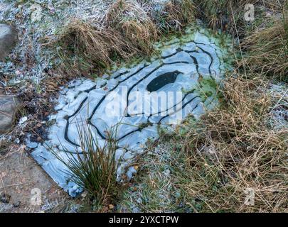 I graziosi motivi di ghiaccio formano anelli/fasce concentrici sopra la pozzanghera ghiacciata in inverno. Foto Stock