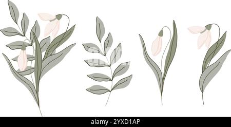 Elegante illustrazione botanica piatta disegnata a mano con delicati fiori vettoriali di gocce di neve con morbide foglie verdi. Lo stile minimalista ha forme organiche e. Illustrazione Vettoriale