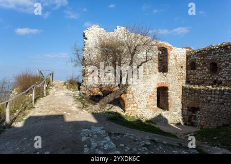 Rovine del castello di Devicky, colline di Pavlov, Moravia meridionale, Repubblica Ceca Foto Stock