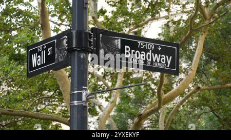 New York, Stati Uniti. Lower Manhattan Downtown Financial District Street. Segnali stradali all'angolo di American Wall Street e Broadway. Borsa valori, mercato azionario USA. Incrocio. Foto Stock