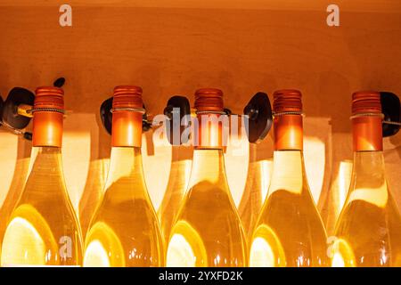 vino frizzante bianco o porto in una bottiglia di vetro trasparente in una vetrina in un supermercato. degustazione di vini bianchi Foto Stock