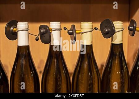 vino frizzante bianco o porto in una bottiglia di vetro trasparente in una vetrina in un supermercato. degustazione di vini bianchi Foto Stock