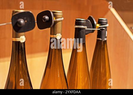 vino frizzante bianco o porto in una bottiglia di vetro trasparente in una vetrina in un supermercato. degustazione di vini bianchi Foto Stock